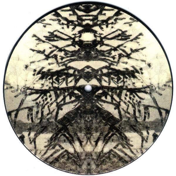 Aufgehoben : Axiologue / Thermidor One Five (7", Ltd, Pic)