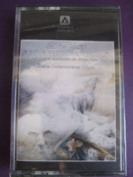Gabriel Brncic : Chile Fertil Provincia (Cass, Album)