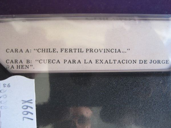 Gabriel Brncic : Chile Fertil Provincia (Cass, Album)