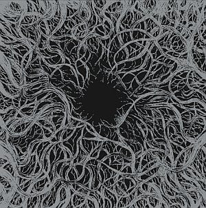 Ajilvsga : From The Muddy Banks Of The Arkansas (LP, Ltd)