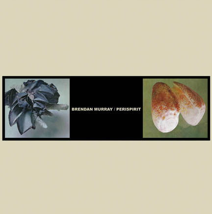 Brendan Murray / Perispirit : Birches And Marksmen's Graves / Compliant Victim (LP, Ltd, Off)
