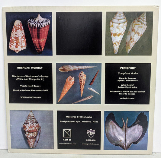 Brendan Murray / Perispirit : Birches And Marksmen's Graves / Compliant Victim (LP, Ltd, Off)