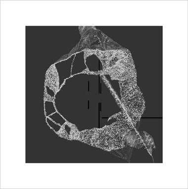 Eli Keszler / Keith Fullerton Whitman : Eli Keszler / Keith Fullerton Whitman (LP)