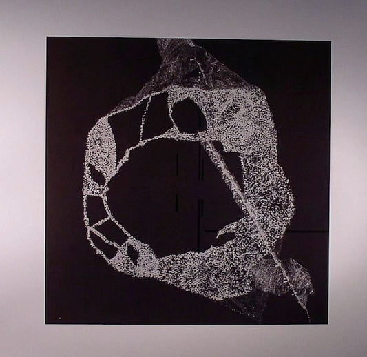 Eli Keszler / Keith Fullerton Whitman : Eli Keszler / Keith Fullerton Whitman (LP)