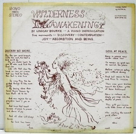 Lindsay Bourke : Wilderness Awakening (LP, Album)